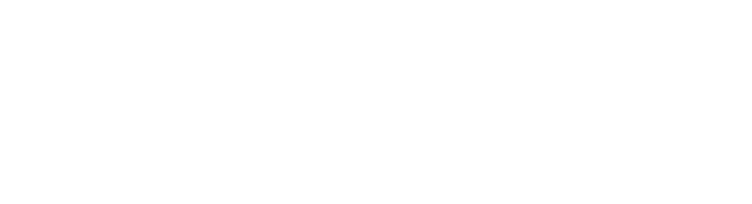 Logo - Rafael Solís Mounier